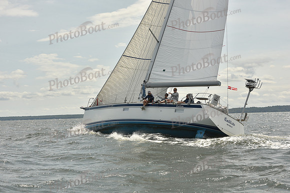 2024 Vineyard Race A_1912