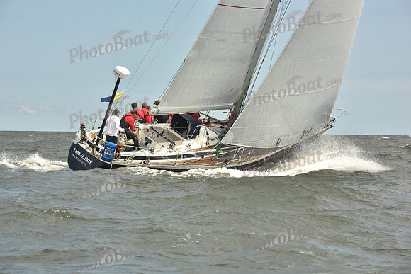 2024 Vineyard Race A_2201