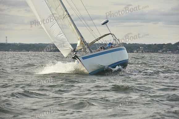 2024 Vineyard Race A_1252