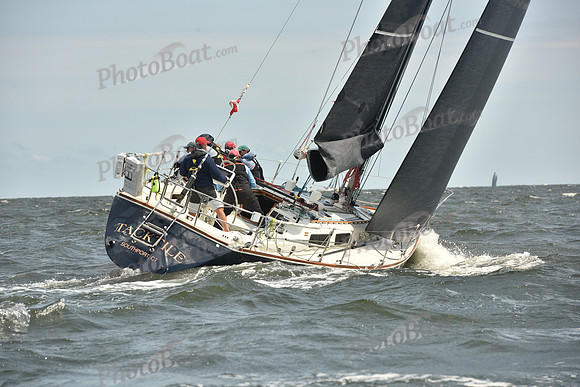 2024 Vineyard Race A_1827
