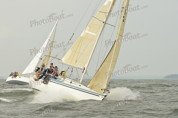 2015 Vineyard Race A 202