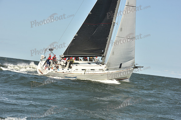 2024 Vineyard Race A_0644