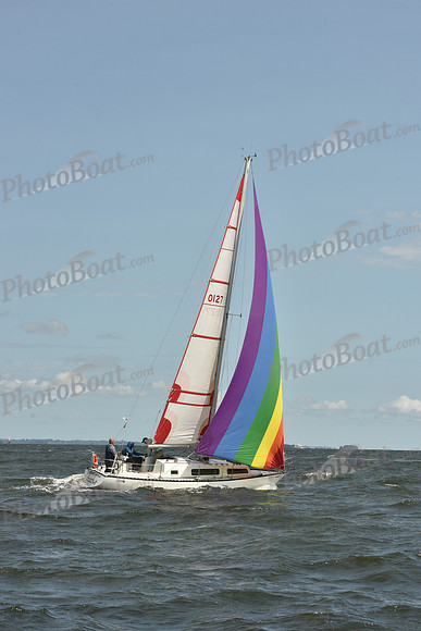 2024 Vineyard Race A_1797