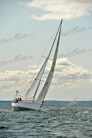 2017 Stamford Denmark Race_0761