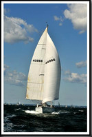 proof_2010_Vineyard_Race_0211