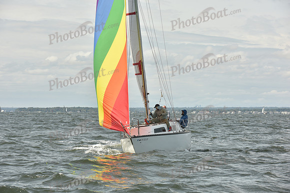 2024 Vineyard Race A_1778