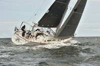 2024 Vineyard Race A_1478