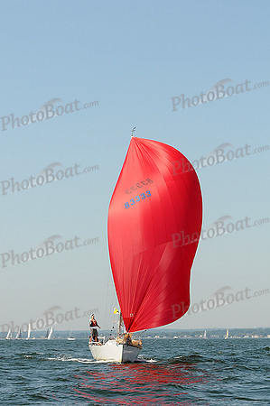 2012 Vineyard Race A 142