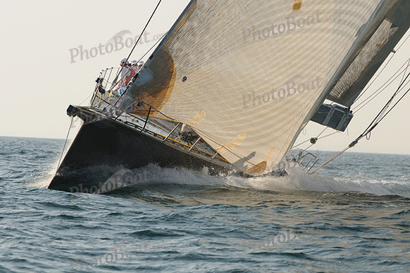 2010_NptBmda_2265