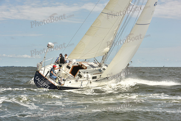 2024 Vineyard Race A_1675