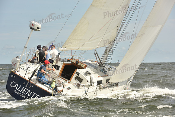 2024 Vineyard Race A_1679