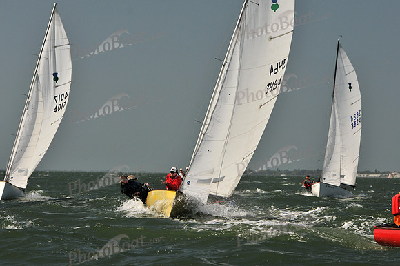 2012 Thistle Midwinters B 599