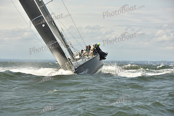 2024 Vineyard Race A_0373