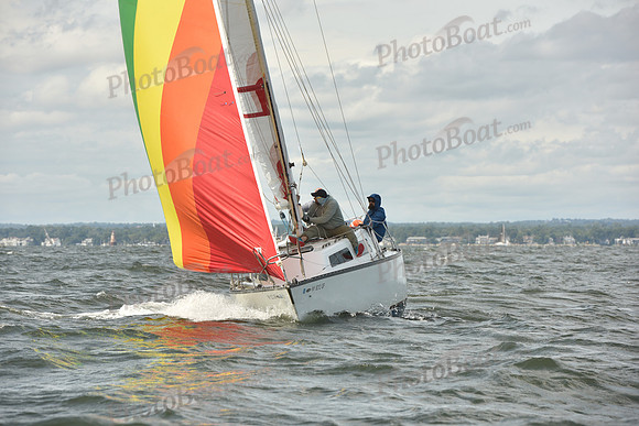 2024 Vineyard Race A_1777
