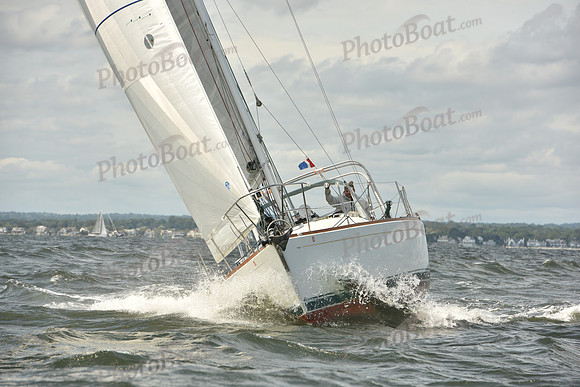 2024 Vineyard Race A_1727