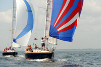 2013 Vineyard Race A 866