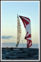 proof_2010_Vineyard_Race_2343