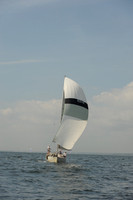 2013 Vineyard Race A 943