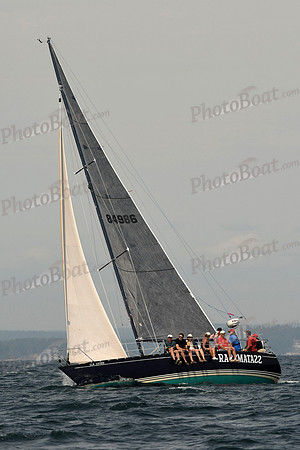 2016 Chester Race Week C 478