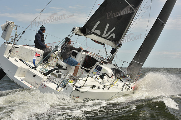 2024 Vineyard Race A_1715