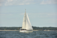 2024 Vineyard Race A_1232