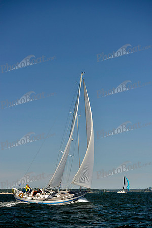 2017 Vineyard Race A_0598