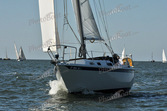 2010 Leukemia Cup 431