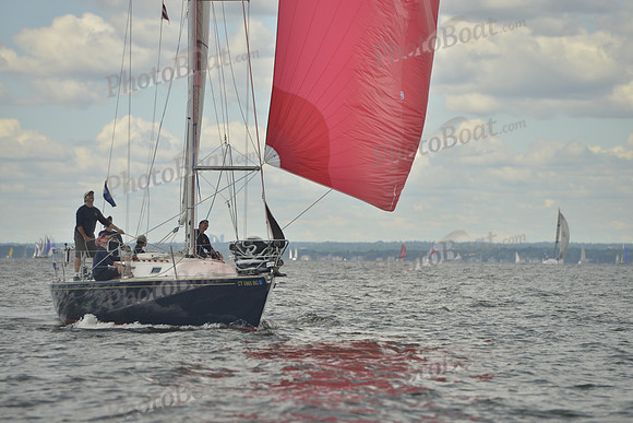 2016 Vineyard Race A_0775