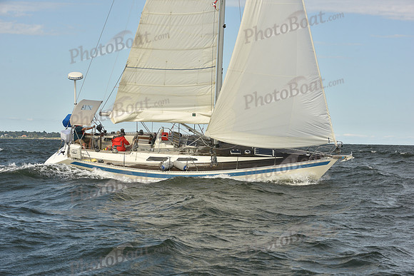 2024 Vineyard Race A_1267
