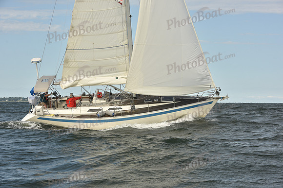 2024 Vineyard Race A_1268