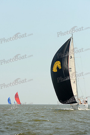 2014 Charleston Race Week C 172