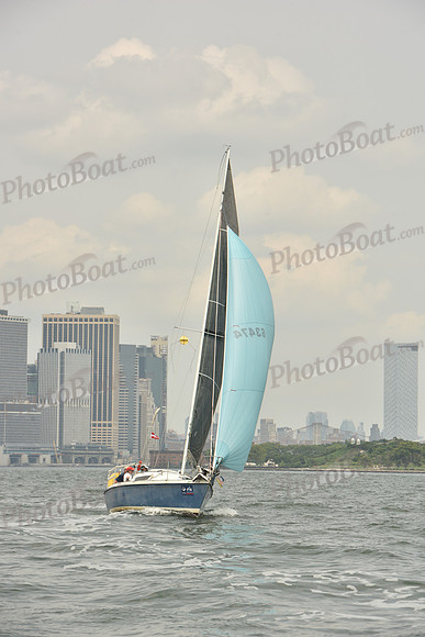 2024 ALIR_0602