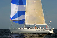 2013 Vineyard Race A 1981