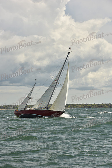 2025 Figawi_0291