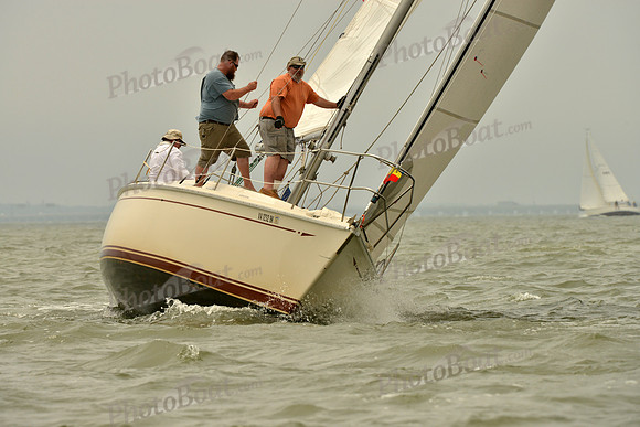 2016 Southern Bay Race Week A_1094