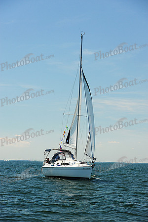 2015 Cape Charles Cup B 184