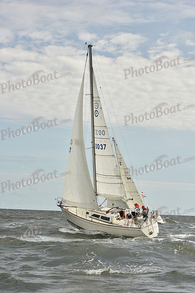 2024 Vineyard Race A_1434