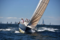 2022 Vineyard Race A_0135