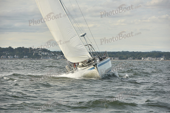 2024 Vineyard Race A_1247