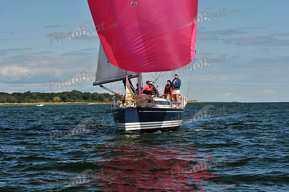 2010 IRC LIS 1852