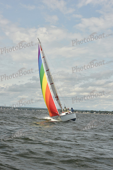 2024 Vineyard Race A_1774