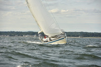 2024 Vineyard Race A_1244