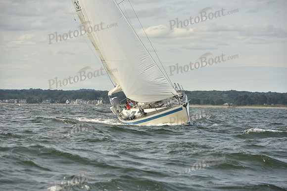 2024 Vineyard Race A_1244