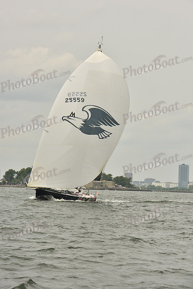 2024 ALIR_0702