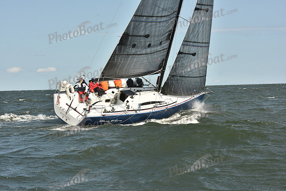 2024 Vineyard Race A_0110