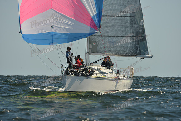 2015 Vineyard Race C 232