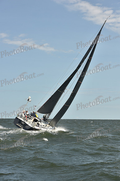 2024 Vineyard Race A_0075