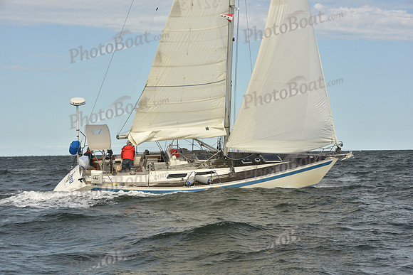 2024 Vineyard Race A_1274