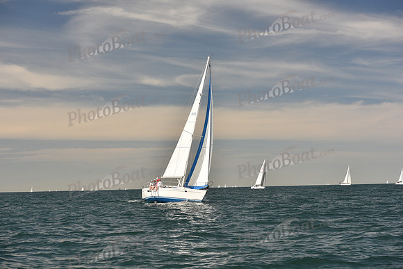 2024 Figawi 2310