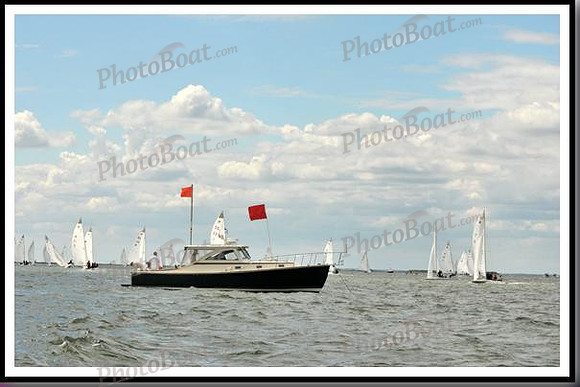 proof_2010_EScows_B 009